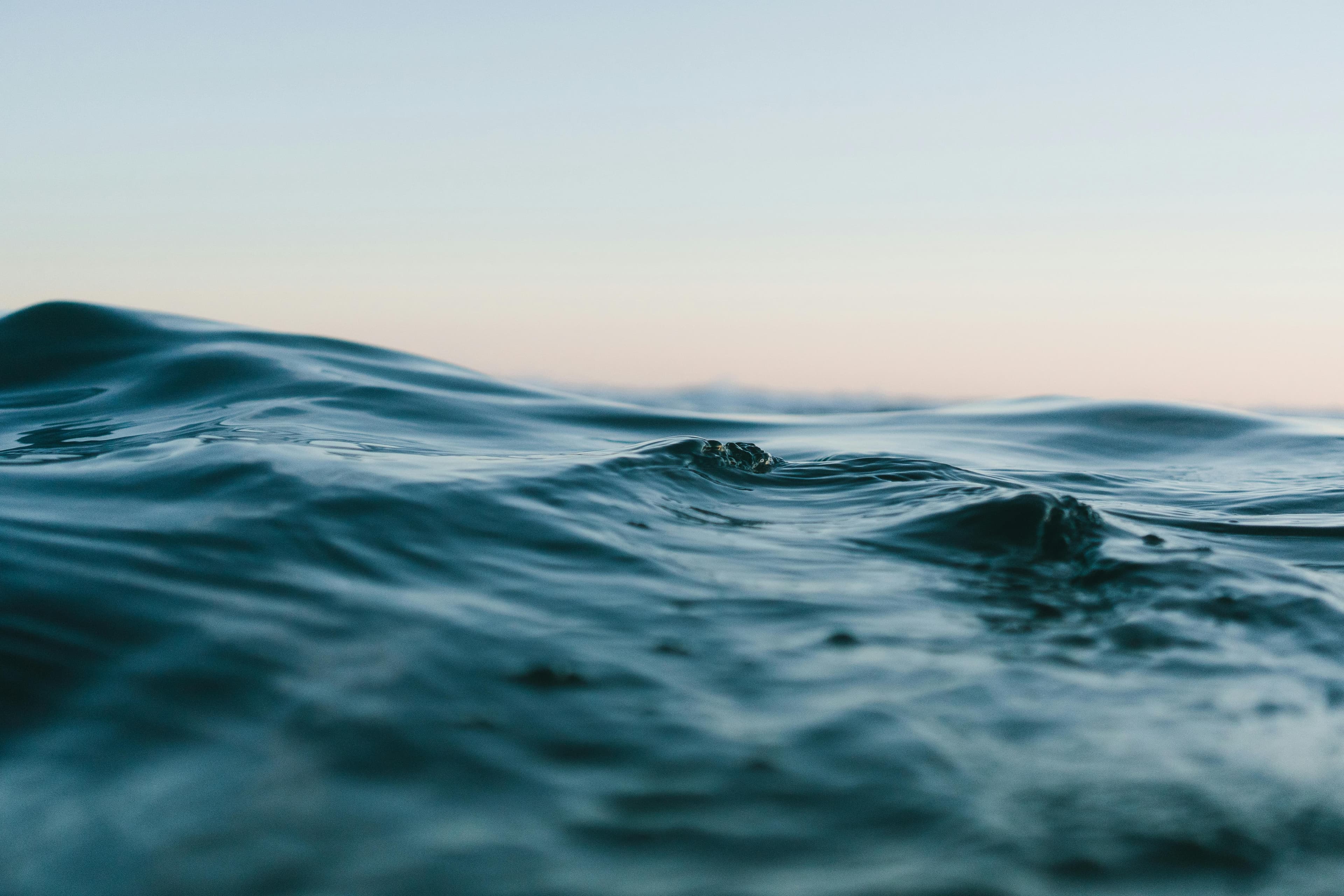 Blue Ocean Strategy: How to Create a Market Without Competition